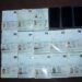 Ejército detiene vehículo con tres ciudadanos haitianos y 13 pasaportes en operativo en Santiago de la Cruz de Dajabón