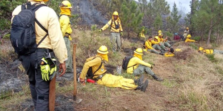Tras cuatro quincenas de labores  brigadistas reclaman pago del ministerio de Medio Ambiente en Dajabón 