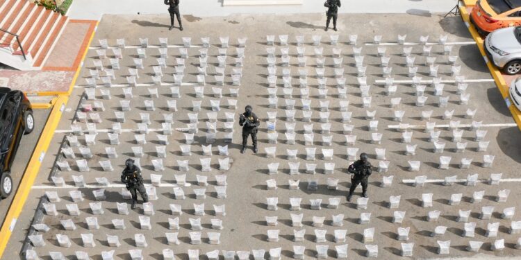 En año 2025 fueron ocupados 48,335 kilos de drogas en la RD