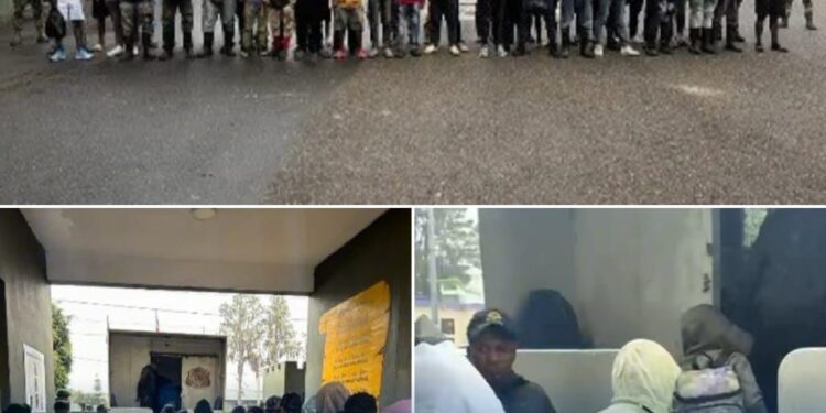 DGM detiene a 177 nacionales haitianos en operativos de interdicción migratoria en Constanza con apoyo del Ejército