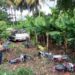 Camión cargado de motocicletas se vuelca en Hatillo Palma y riega en finca