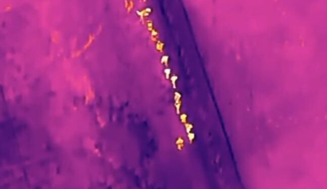 Localizan grupo de haitianos indocumentados en operativo con drones en Elías Piña