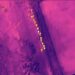 Localizan grupo de haitianos indocumentados en operativo con drones en Elías Piña