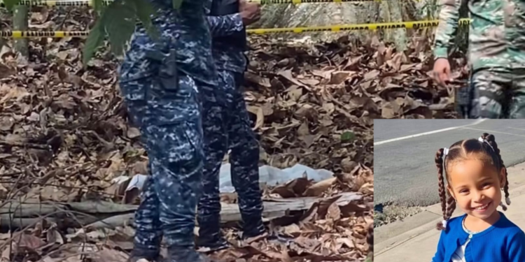 Investigan hallazgo de posible evidencia en caso de menor desaparecida en Imbert