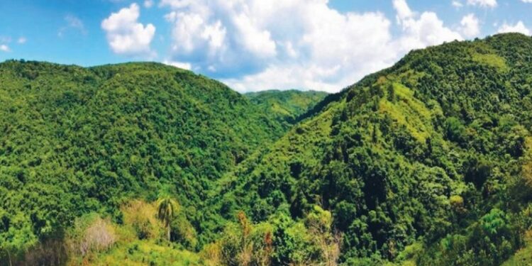 Multa de 60 millones de pesos a empresa por daño ambiental