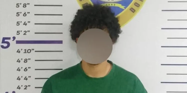 Policía Cibernética detiene hombre por estafa electrónica bajo falsa oferta de empleo en Santiago