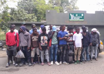 Ejército intercepta camioneta con 19 haitianos en condición migratoria irregular en Guayubín