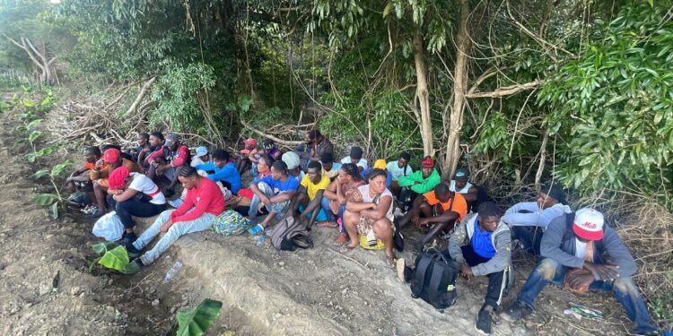 Ejército detiene a más de 19 mil indocumentados y envía ante el Ministerio Público a 77 personas durante el mes de enero