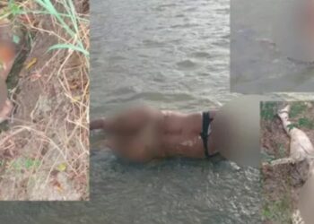 Buscan asesinos de 5 mujeres que fueron decapitadas en Haití