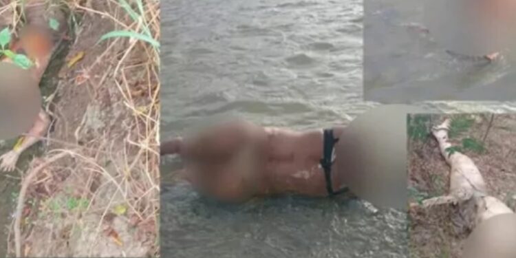 Buscan asesinos de 5 mujeres que fueron decapitadas en Haití