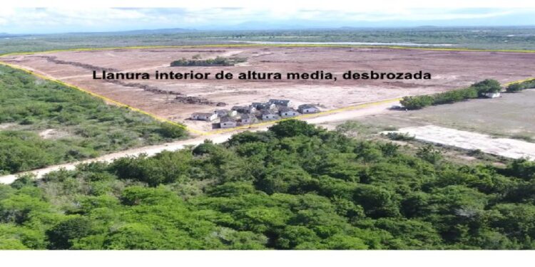 Manzanillo: territorio vulnerable impactado sin resarcimiento por megaproyecto energético de Shell y Haina Investment