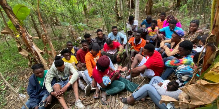 Interceptan grupo de 30 haitianos indocumentados en zona montañosa de Guayubín