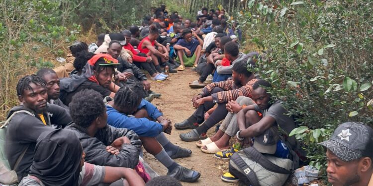 Miembros del Ejército detienen a 66 indocumentados en Loma de Cabrera