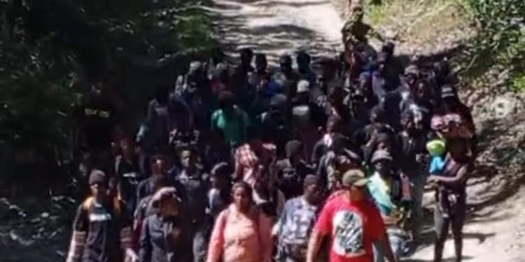 Detienen a 126 haitianos indocumentados en Dajabón durante operativos del ERD