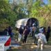 Migración recibe del SENPA 378 haitianos apresados cometiendo delitos medioambientales