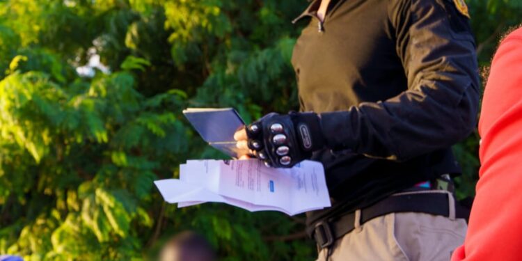 DGM ejecuta amplios operativos este viernes y detiene 865 extranjeros irregulares en una jornada nacional