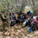 En operativos de interdicción Ejército detiene a 65 haitianos en condición migratoria irregular en Montecristi