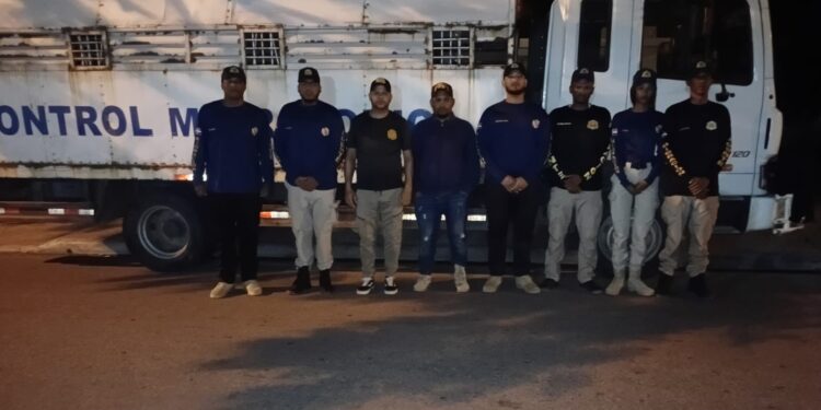 Macro-regiones Sureste y Suroeste concentran el mayor flujo operativo en jornada de interdicción migratoria de este jueves
