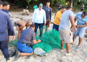 Capturan cocodrilo que permanecía desaparecido en Sabaneta de Yásica