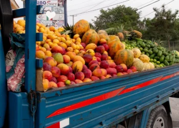 PN y MP desmantelan banda dedicada al despojo de camiones cargados de mercancías