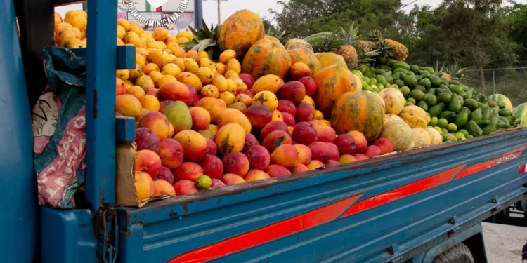 PN y MP desmantelan banda dedicada al despojo de camiones cargados de mercancías