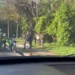 Encuentran hombre sin vida en acera del Jardín Botánico