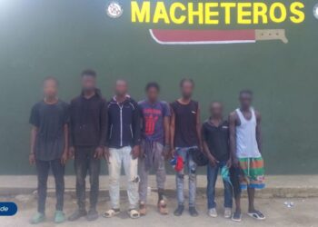 Detienen a 100 extranjeros en condición migratoria irregular en operativos realizados en Mao y Santiago Rodríguez