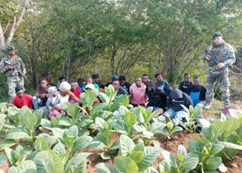 El Ejército detiene a 23 haitianos indocumentados en zona boscosa de Dajabón 
