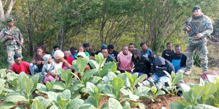 El Ejército detiene a 23 haitianos indocumentados en zona boscosa de Dajabón 