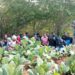 El Ejército detiene a 23 haitianos indocumentados en zona boscosa de Dajabón