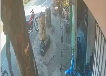 VIDEO: Accidente de tránsito involucra unidad de escolta presidencial en tramo Maimón–Puerto Plata