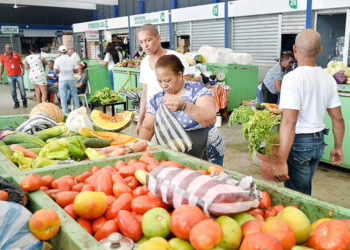 La canasta básica familiar