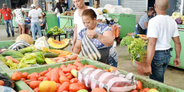 La canasta básica familiar