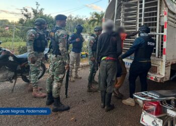 El miércoles 15 de abril operativos migratorios en todo el país dejan 983 detenidos y 868 deportados