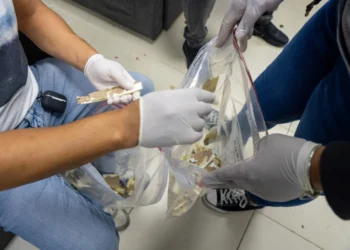 Impiden envío a España de 735 laminas de cocaína