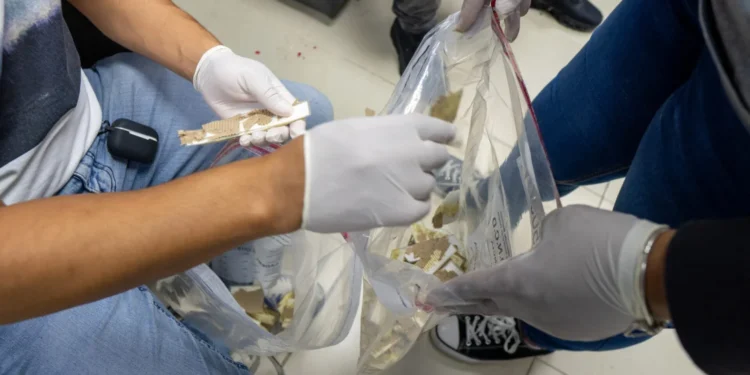 Impiden envío a España de 735 laminas de cocaína