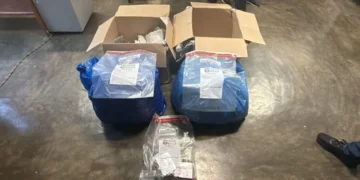 DNCD incauta dos fundas llenas de marihuana en el Aeropuerto Internacional de Las Américas