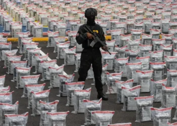Incautaciones de cocaína en RD caen, pero el país sigue en la ruta