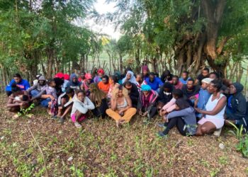 Ejército intercepta a 43 haitianos indocumentados en un platanal en Montecristi