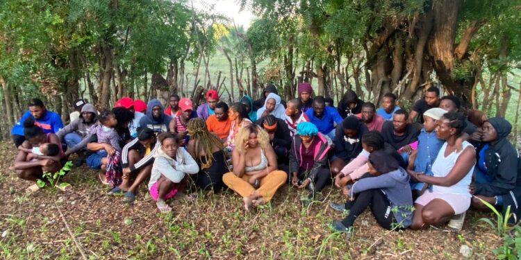 Ejército intercepta a 43 haitianos indocumentados en un platanal en Montecristi