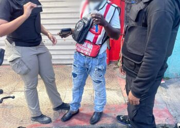 Lee Ballester afirma la DGM, FF.AA. y P.N. enfrentan mafias que se lucran del ingreso de haitianos a RD
