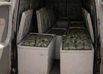 Detectan furgón con marihuana en el muelle de Puerto Plata