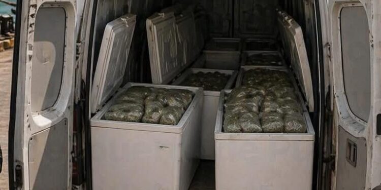 Detectan furgón con marihuana en el muelle de Puerto Plata