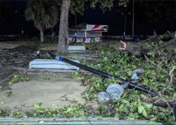 Ventarrón derriba árboles y postes tendido eléctrico en SD