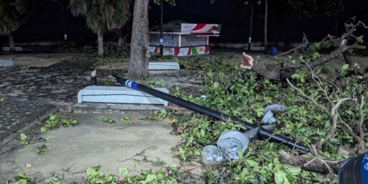 Ventarrón derriba árboles y postes tendido eléctrico en SD