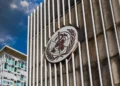 OMS recomienda investigar anticuerpos monoclonales como tratamiento de ébola