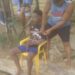 Comunitarios amarran y despojan de un cuchillo joven que había agredido a su padre en Santiago de la Cruz