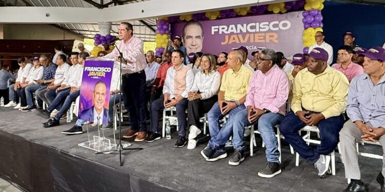 Dice para vencer a PRM, el PLD necesitará “jinete pura sangre”