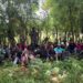 Interceptan grupo de haitianos indocumentados en zona boscosa de Guayubín