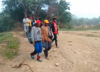 Ejército detiene a 16 indocumentados que intentaban evadir puesto de chequeo en Montecristi